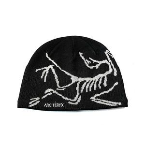 Arc'teryx Bird Head Toque
(Black)